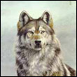 BIOWULF